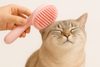 Fur-tastic Groomer (Cat Brush)
