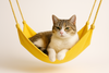 Chill & Pounce (Cat Hammock)