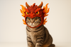 Whisker-Worthy Cat Hats: Purr-sonality on Parade!