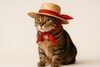 Whisker-Worthy Cat Hats: Purr-sonality on Parade!